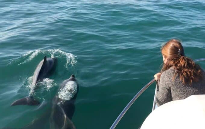Une jeune femme contemple le spectacle des dauphins en mer d'Iroise
